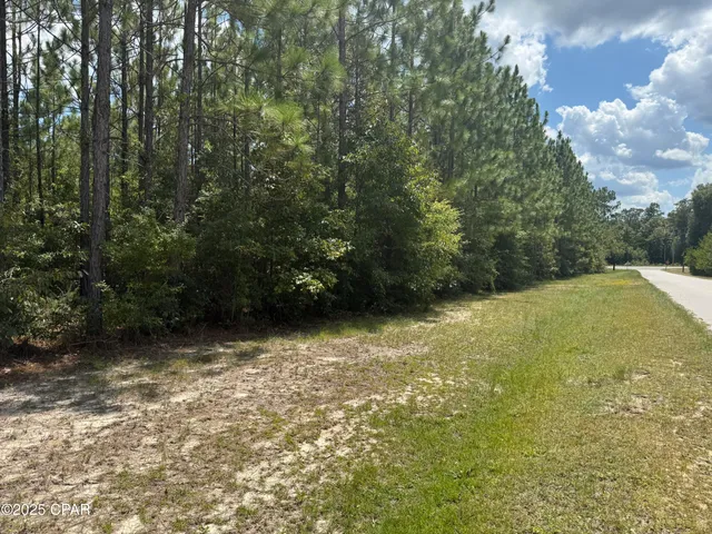 $21,000 | 0 Silverwood Drive, Greenwood, FL 32443