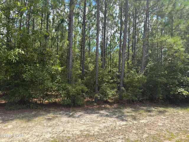 $21,000 | 0 Silverwood Drive, Greenwood, FL 32443