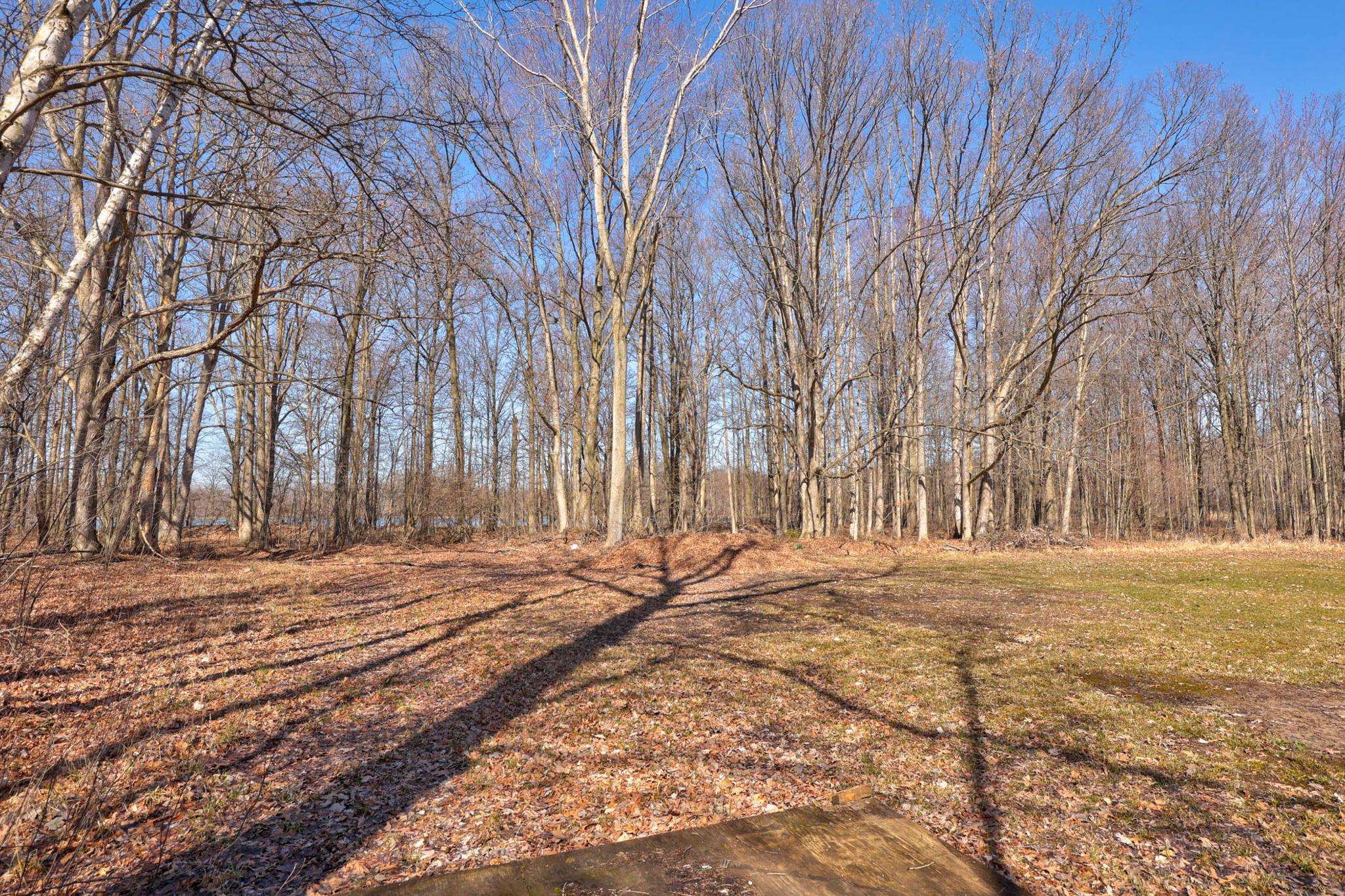 9810 Marshall Road Birch Run, MI 48415 - Photo 49 of 69