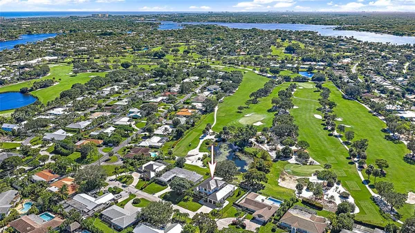 a living room with furniture or wooden floor and a potted plant