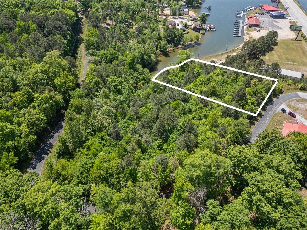 0 Lake Forest Drive Waterloo, SC 29384 - Photo 17 of 22