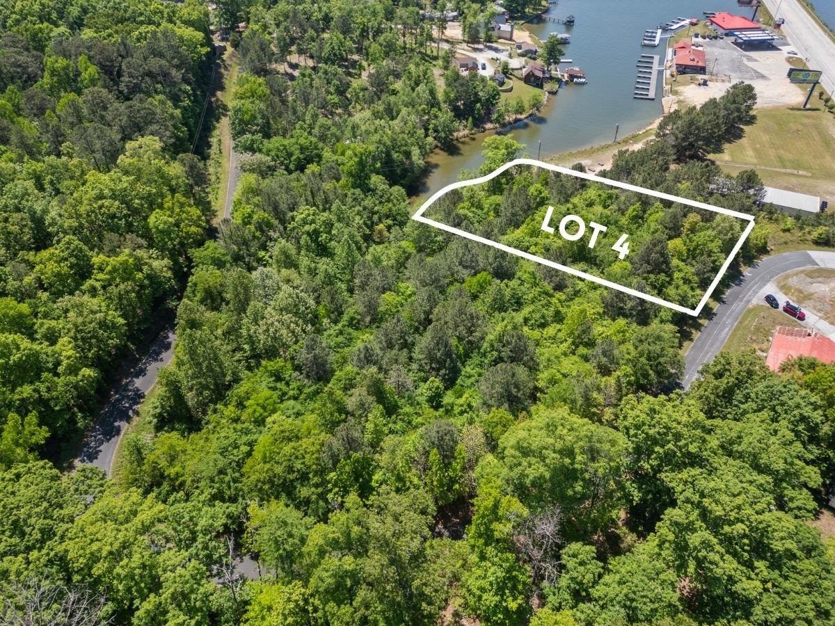 0 Lake Forest Drive Waterloo, SC 29384 - Photo 18 of 22