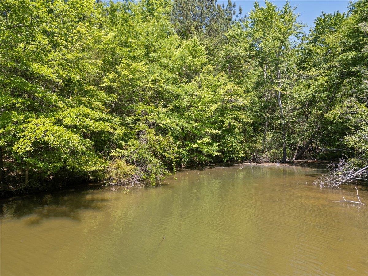 0 Lake Forest Drive Waterloo, SC 29384 - Photo 2 of 22