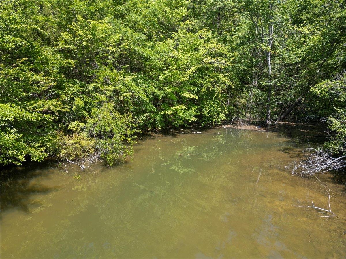 0 Lake Forest Drive Waterloo, SC 29384 - Photo 3 of 22