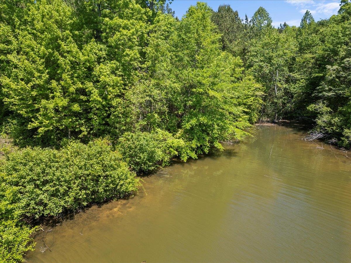 0 Lake Forest Drive Waterloo, SC 29384 - Photo 4 of 22