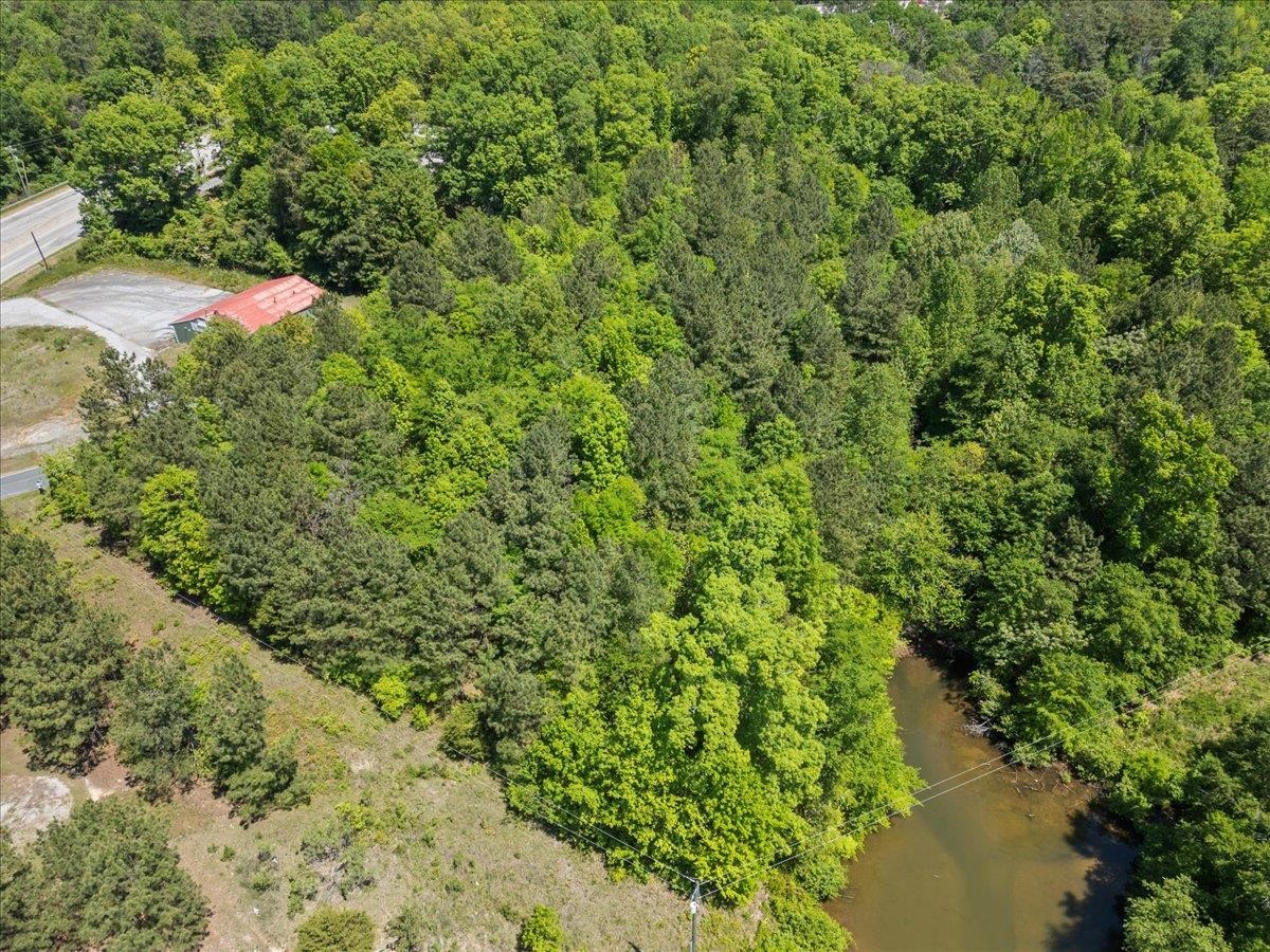 0 Lake Forest Drive Waterloo, SC 29384 - Photo 6 of 22