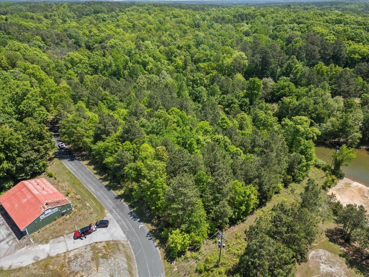 0 Lake Forest Drive Waterloo, SC 29384 - Photo 7 of 22