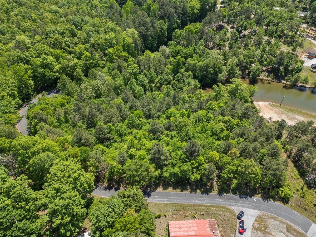 0 Lake Forest Drive Waterloo, SC 29384 - Photo 8 of 22