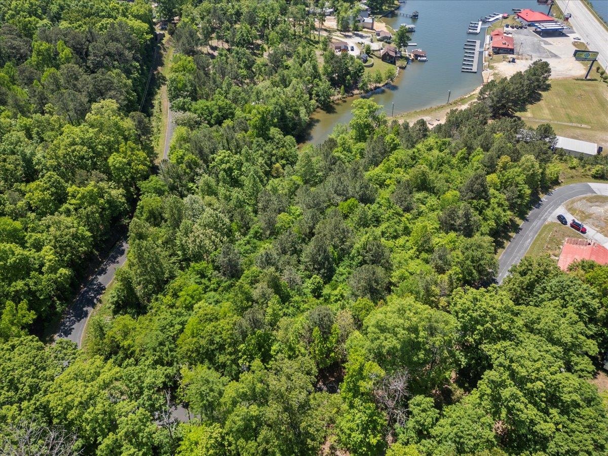 0 Lake Forest Drive Waterloo, SC 29384 - Photo 9 of 22