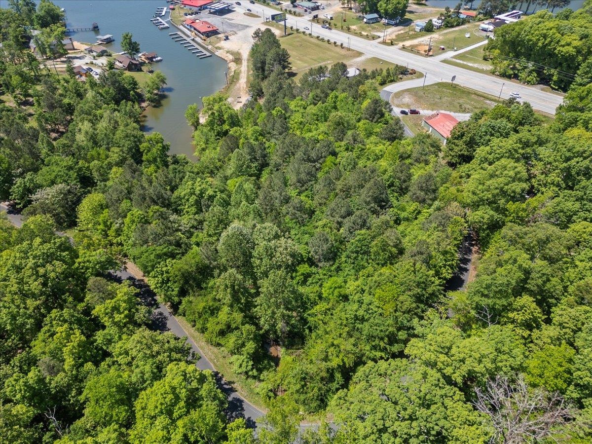 0 Lake Forest Drive Waterloo, SC 29384 - Photo 10 of 22