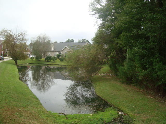 9419 Harroway Road Summerville, SC 29485 - Photo 35 of 37 DSC05802
