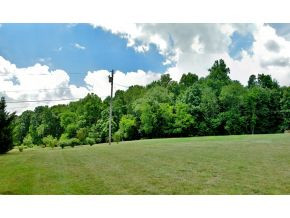 385 Sliger Road Jonesborough, TN 37659 - Photo 19 of 19 Back Yard