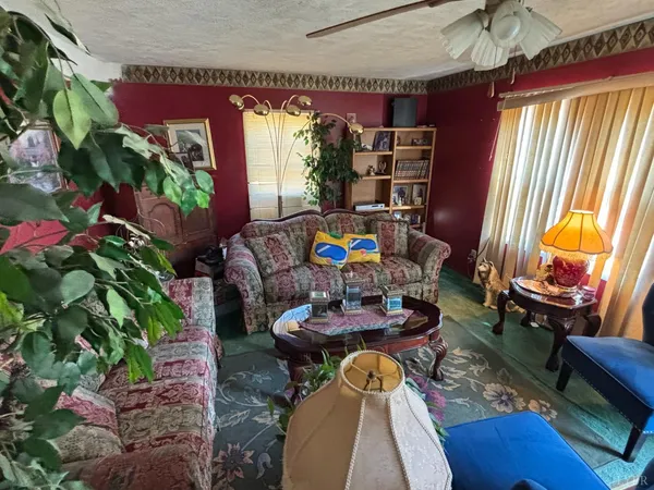 a living room filled with furniture and a potted plant