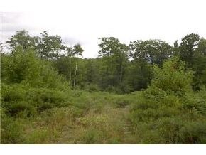 0 Flat Iron Road Pike, NH 03578 - Photo 2 of 5