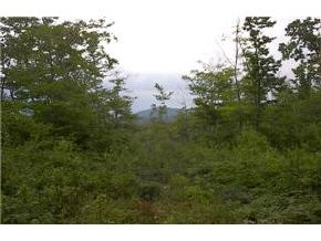 0 Flat Iron Road Pike, NH 03578 - Photo 3 of 5