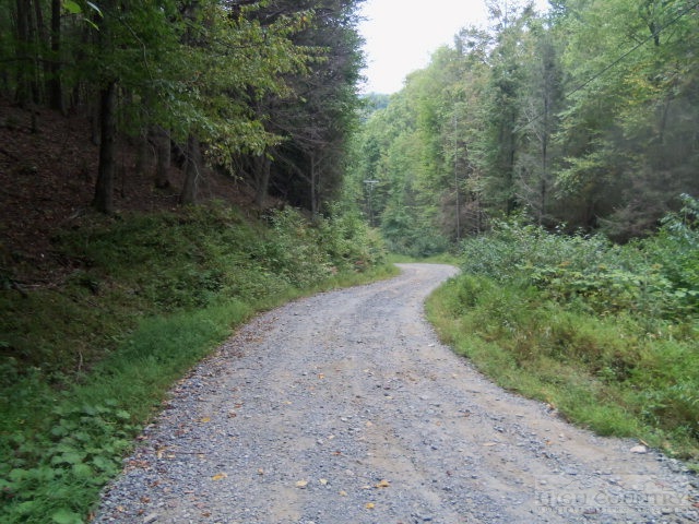 Wes Randall Road Boone, NC 28607 - Photo 3 of 7 Gallery Image 3