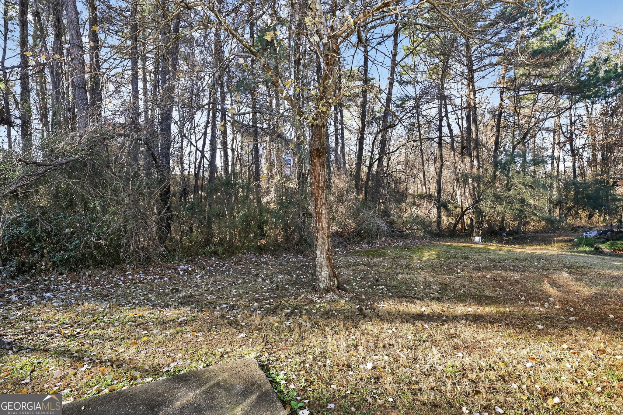 4375 Conley Landing Conley, GA 30288 - Photo 6 of 34 a view of a yard with large trees