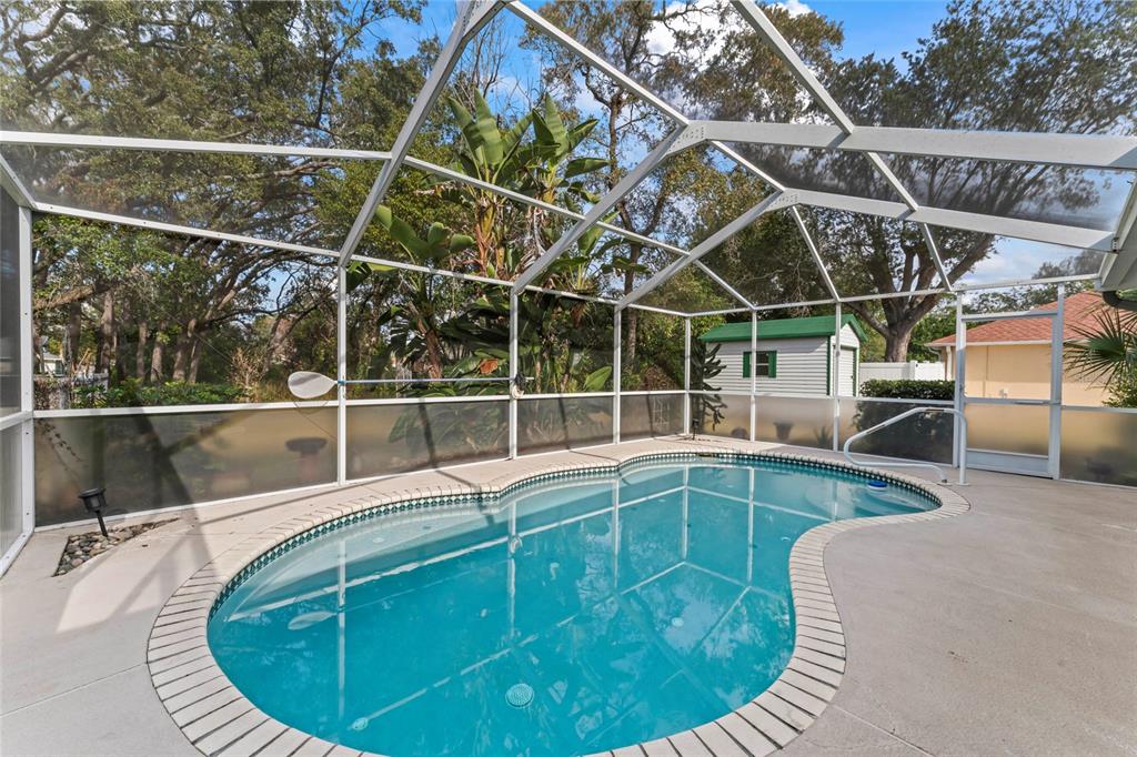 9115 Spring Hill Drive Spring Hill, FL 34608 - Photo 28 of 43