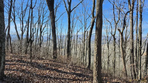 $130,000 | 0 Rector Road, Jasper, TN 37347