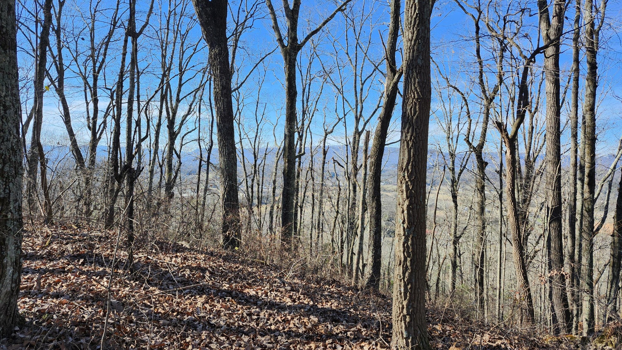0 Rector Road Jasper, TN 37347 - Photo 1 of 14