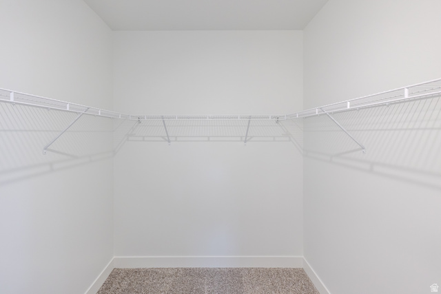 675 West 4500th South, Unit P201 Mapleton, UT 84664 - Photo 8 of 16 Closet featuring wire shelving, white walls, and carpeting