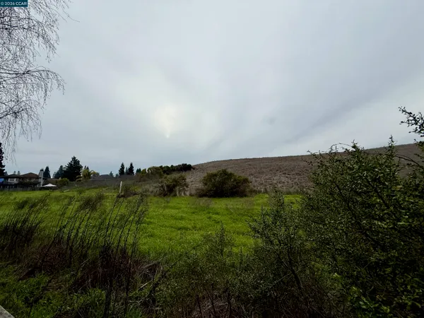 a view of a field of grass and trees