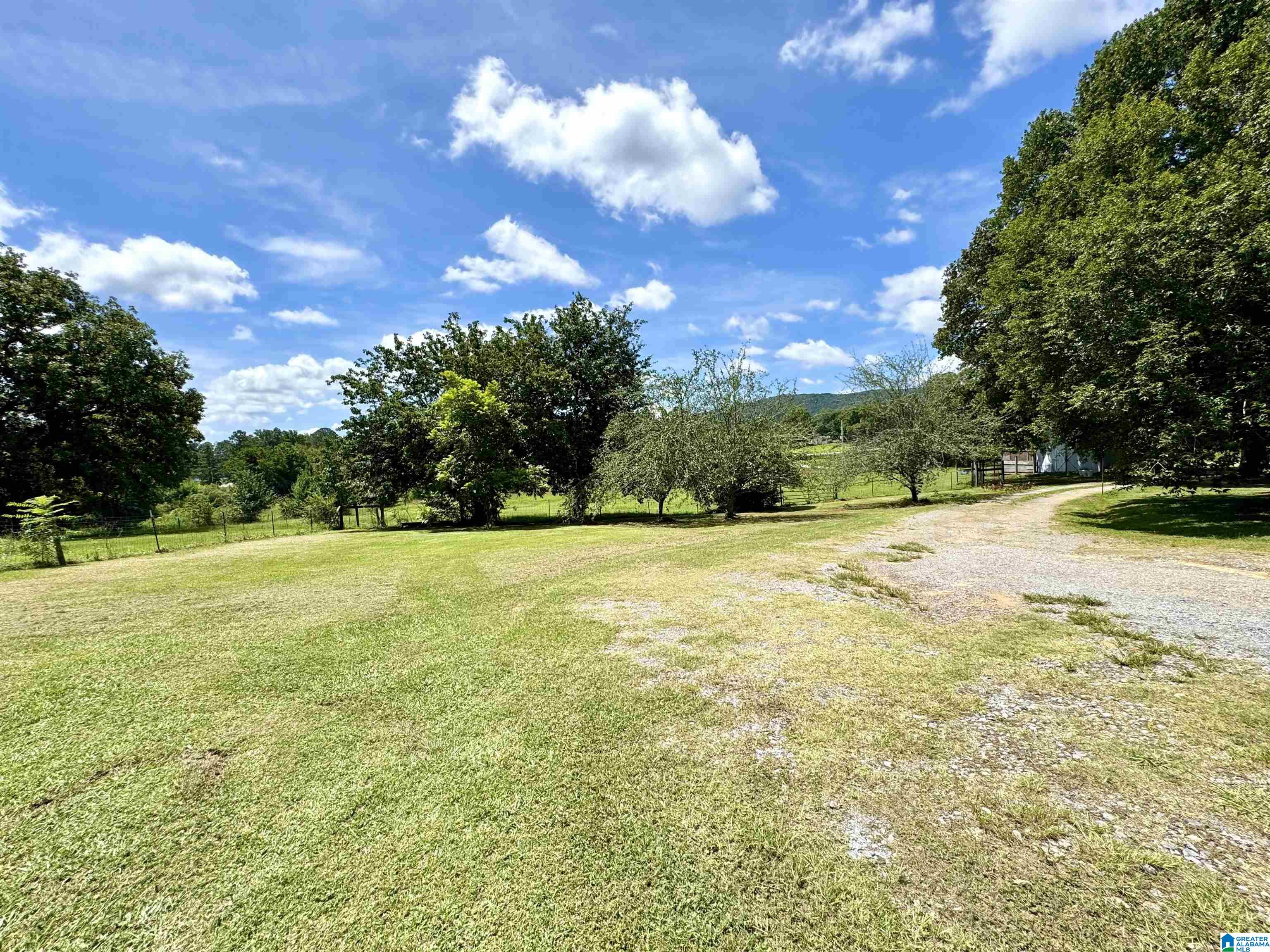 400 Flag Pole Mountain Road Childersburg, AL 35151 - Photo 16 of 19