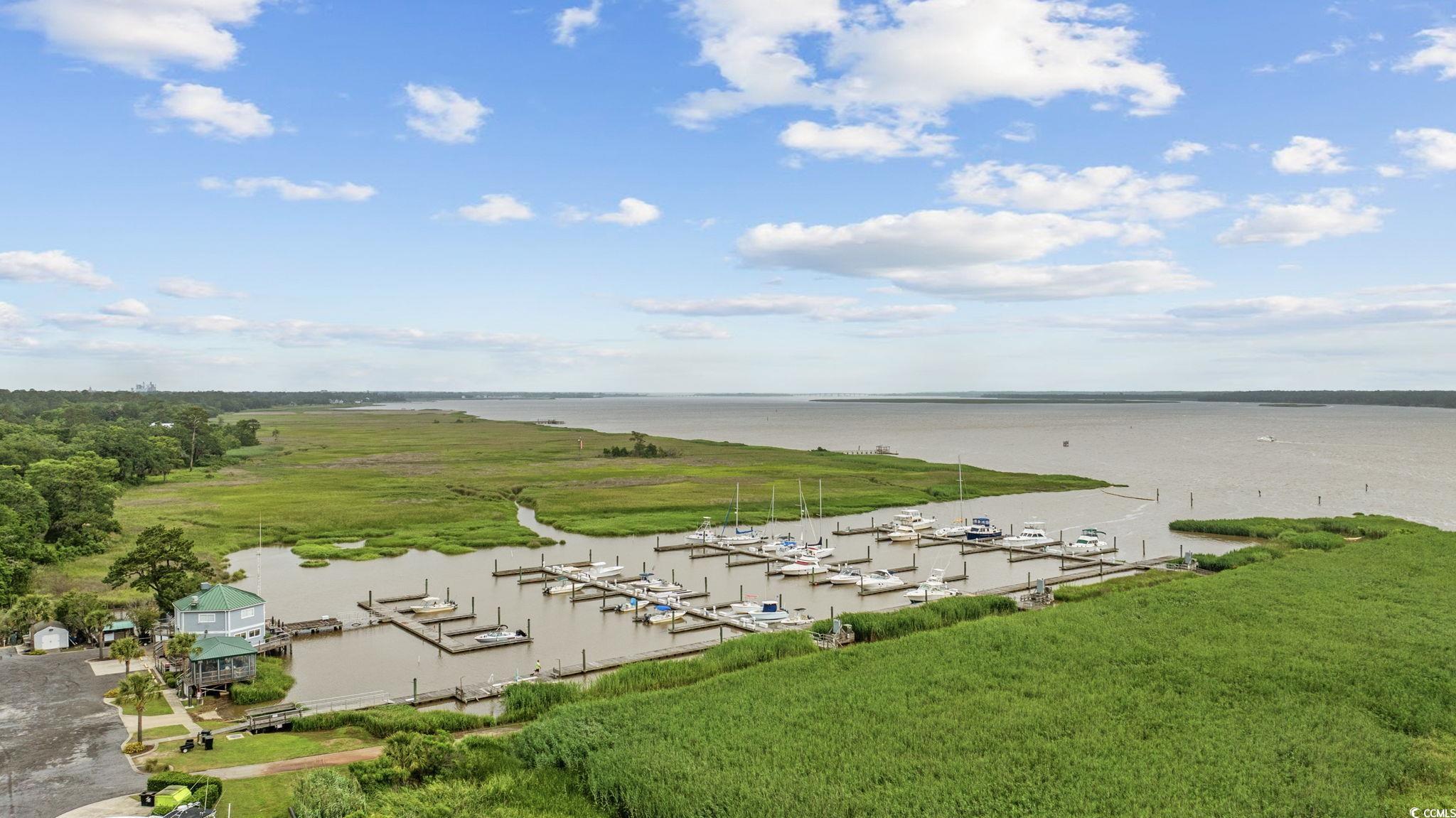 64 Bamboo Loop, Unit 161 Georgetown, SC 29440 - Photo 28 of 31 Water view featuring numerous boat docks