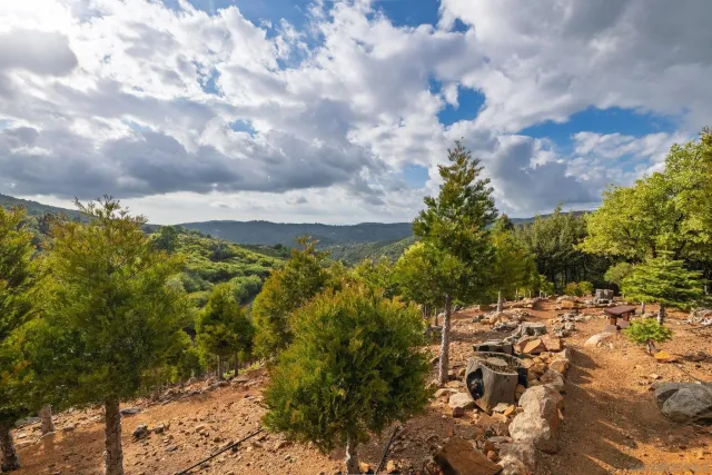 $875,000 | 16913 Harrison Park Trail, Julian, CA 92036