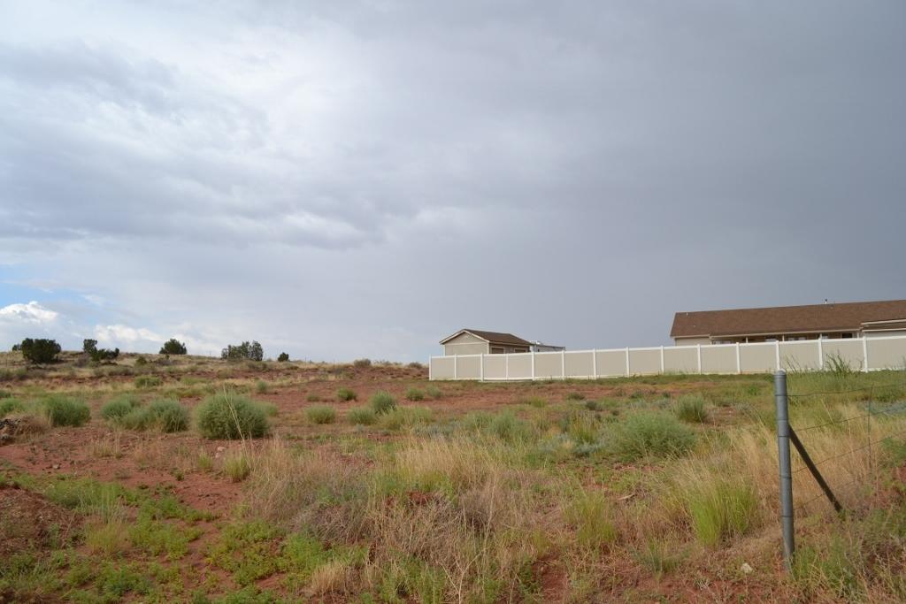 2772 Mason Ridge Road Show Low, AZ 85901 - Photo 50 of 51 a view of a dry yard with trees