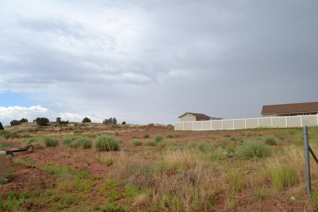 2772 Mason Ridge Road Show Low, AZ 85901 - Photo 51 of 51 a view of a dry yard with trees