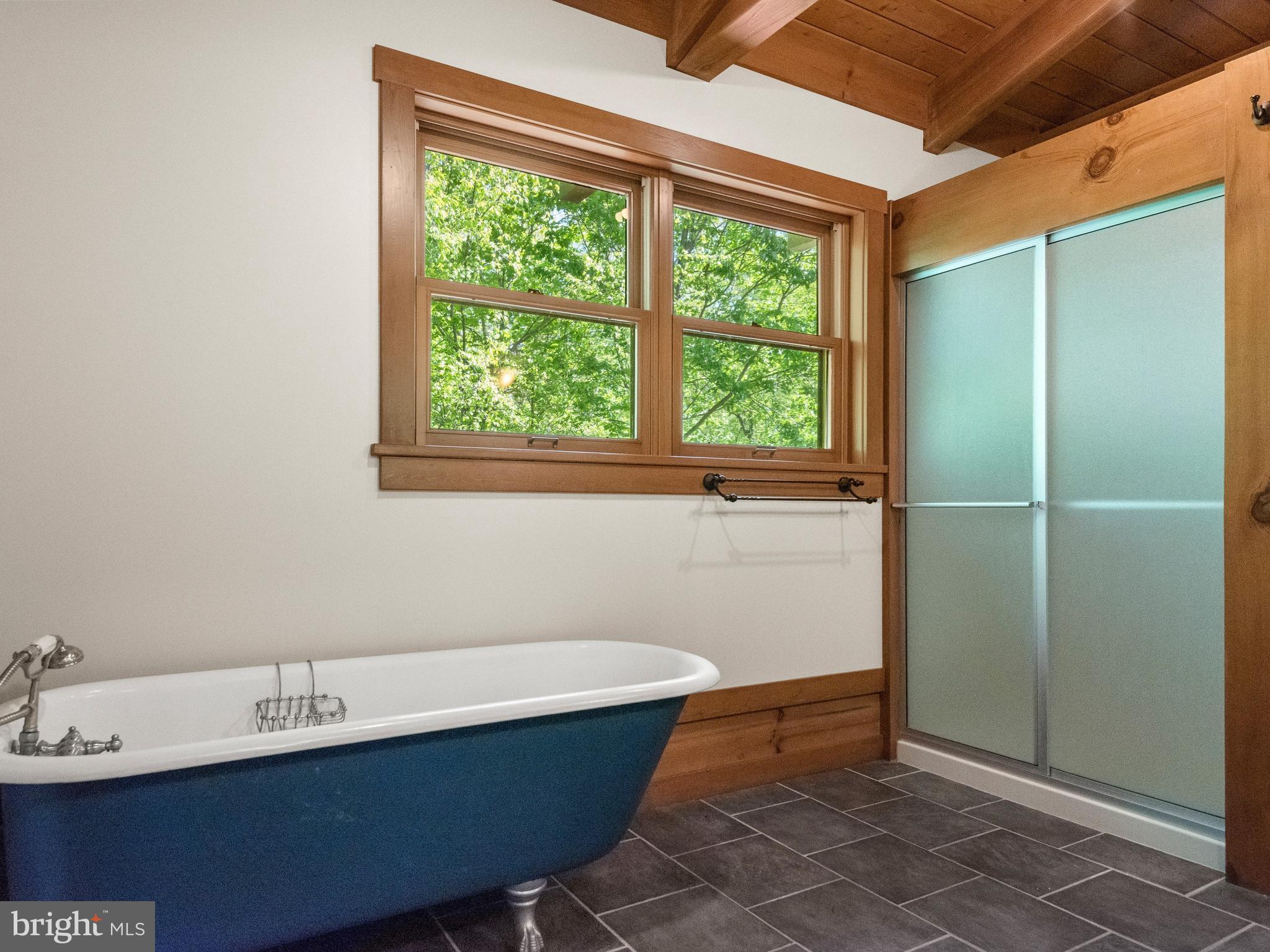 533 Mt Pleasant Road Pottstown, PA 19465 - Photo 34 of 109 Claw tub, stall shower