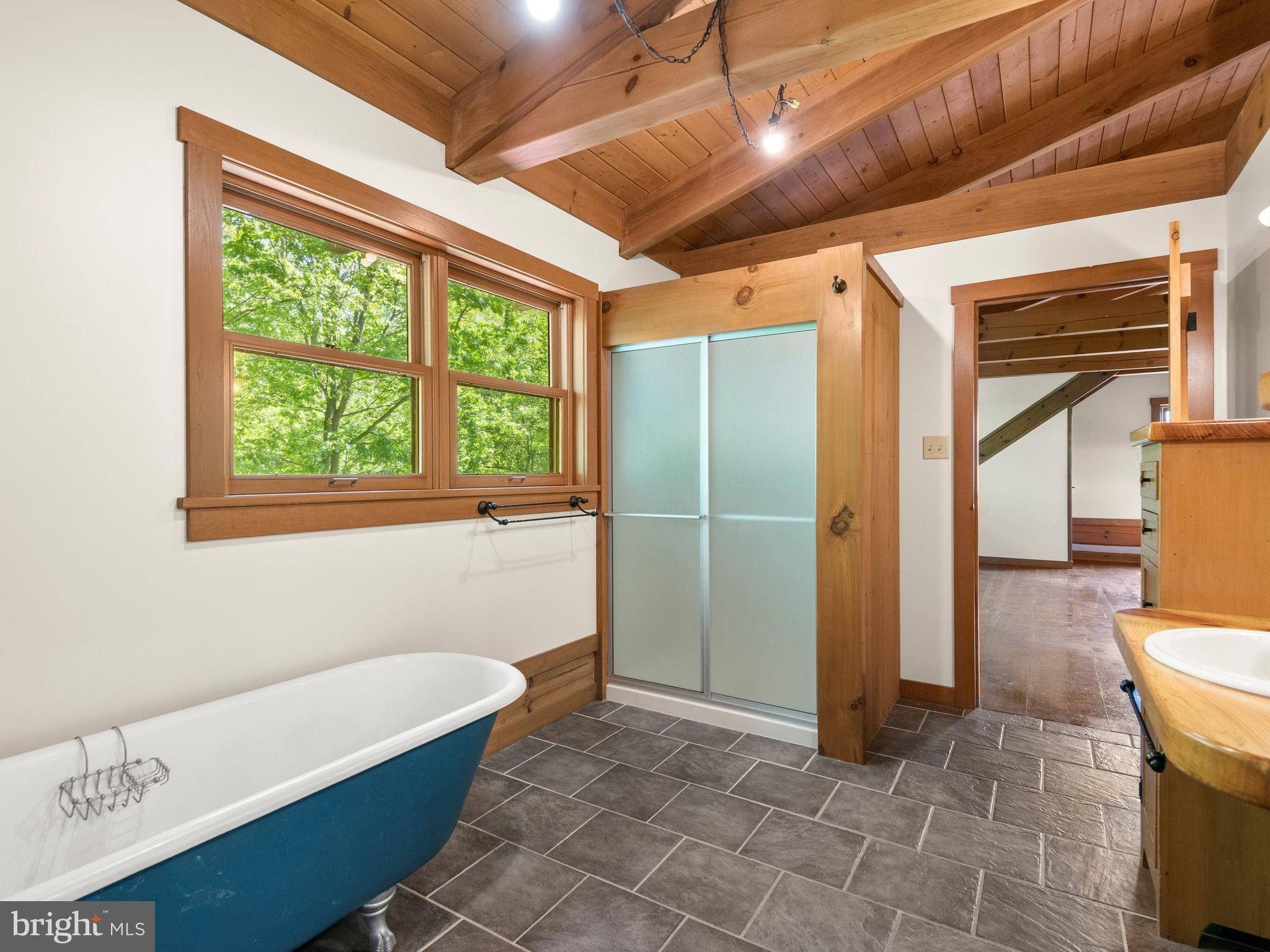 533 Mt Pleasant Road Pottstown, PA 19465 - Photo 35 of 109 Bath looking to loft