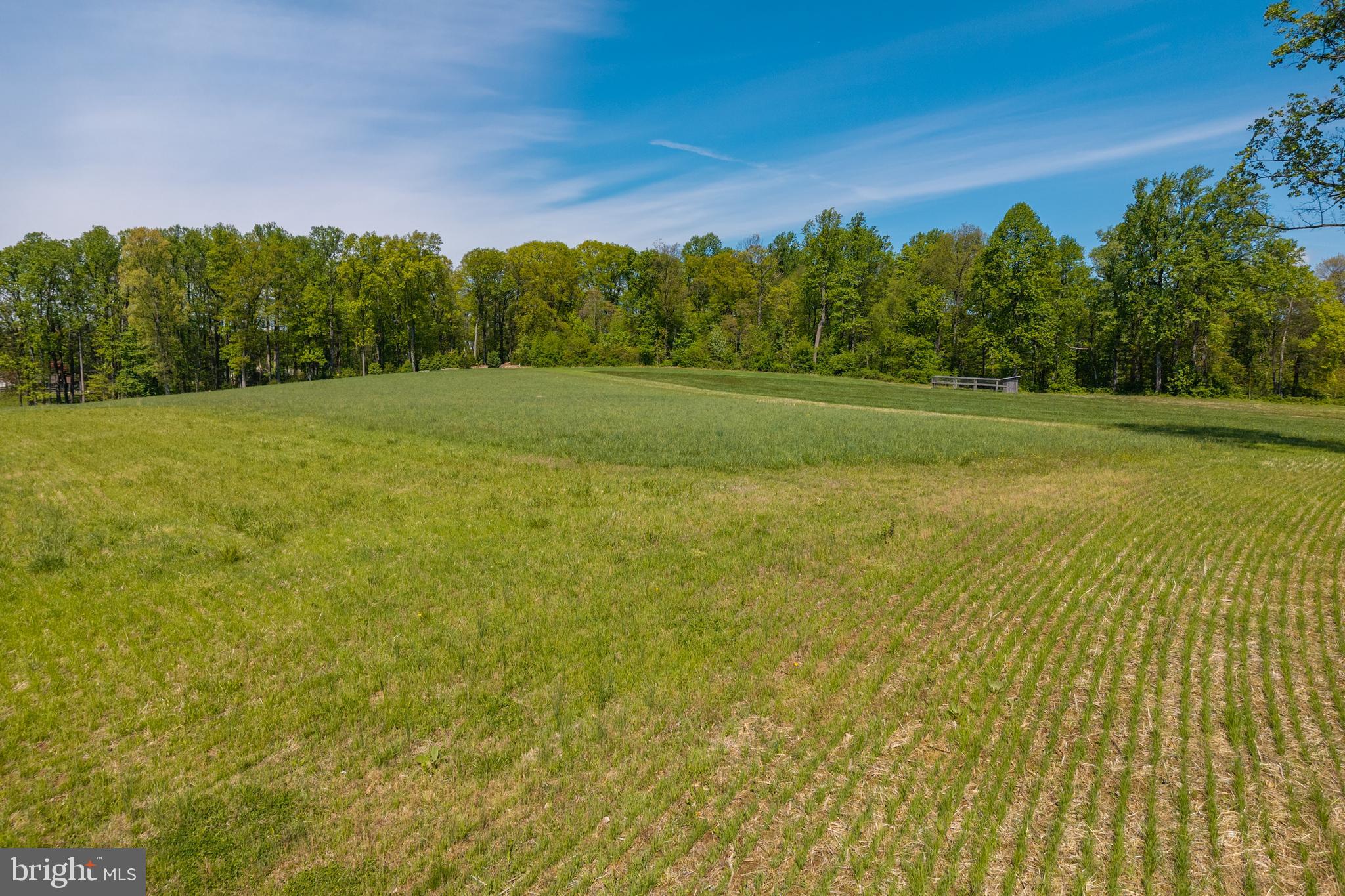 533 Mt Pleasant Road Pottstown, PA 19465 - Photo 89 of 109 Pasture