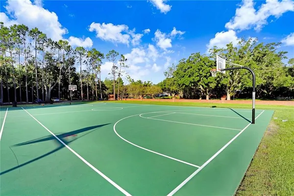 $3,295 | 9506 Cavendish Drive, Tampa, FL 33626