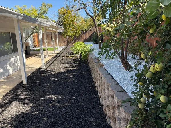 a view of a yard with plants