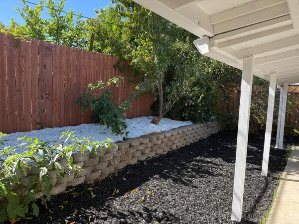 a view of a backyard with pathway