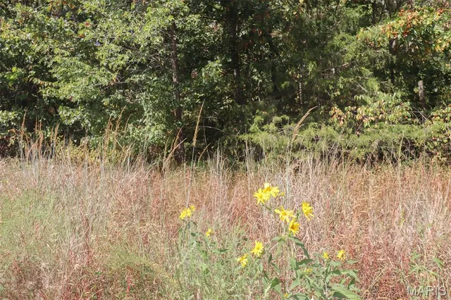 $27,900 | 602 West 6th Street, Dixon, MO 65459