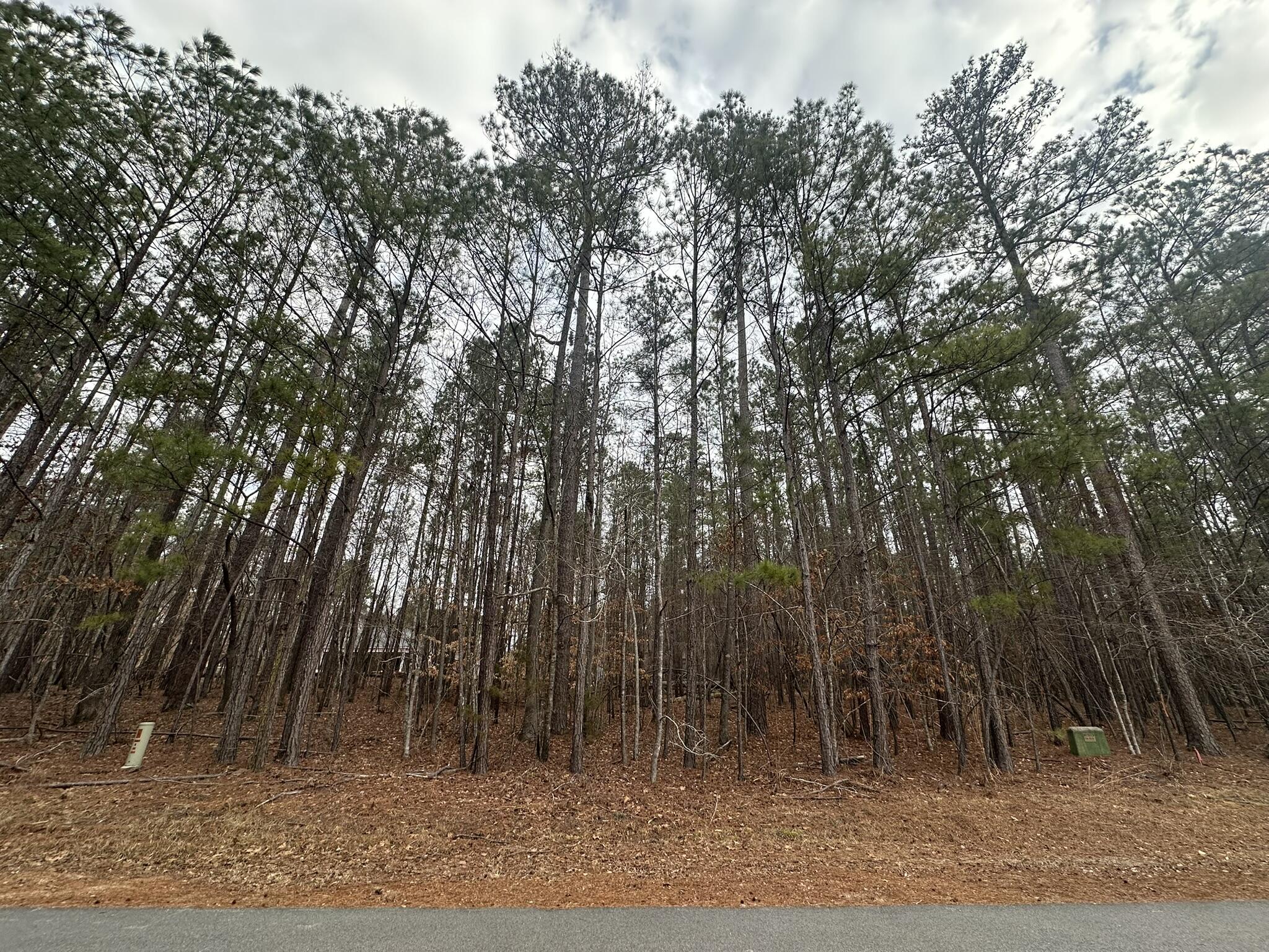 B14-l18 Candlewick Loop McCormick, SC 29835 - Photo 1 of 15 IMG_1643