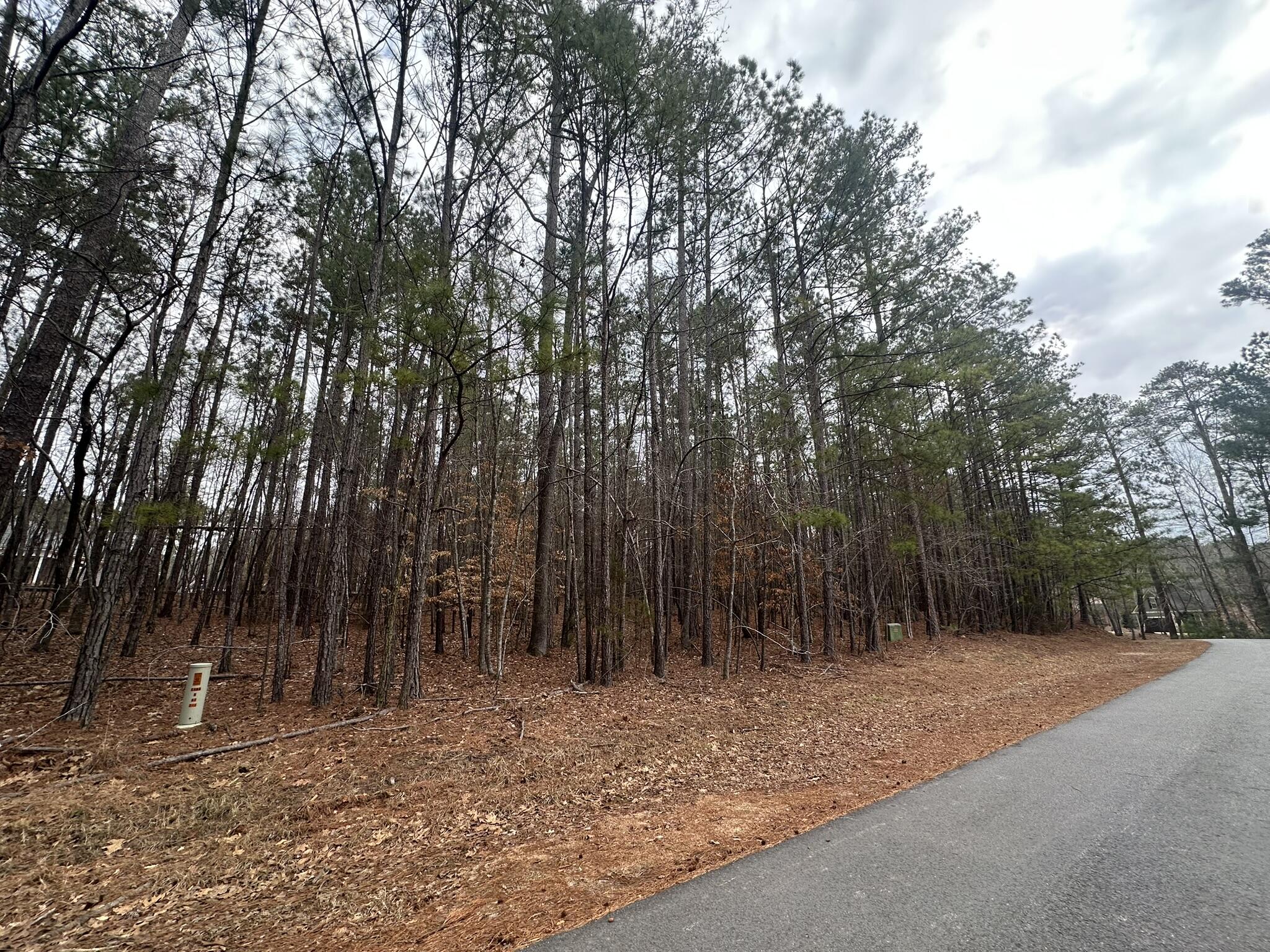B14-l18 Candlewick Loop McCormick, SC 29835 - Photo 2 of 15 IMG_1644