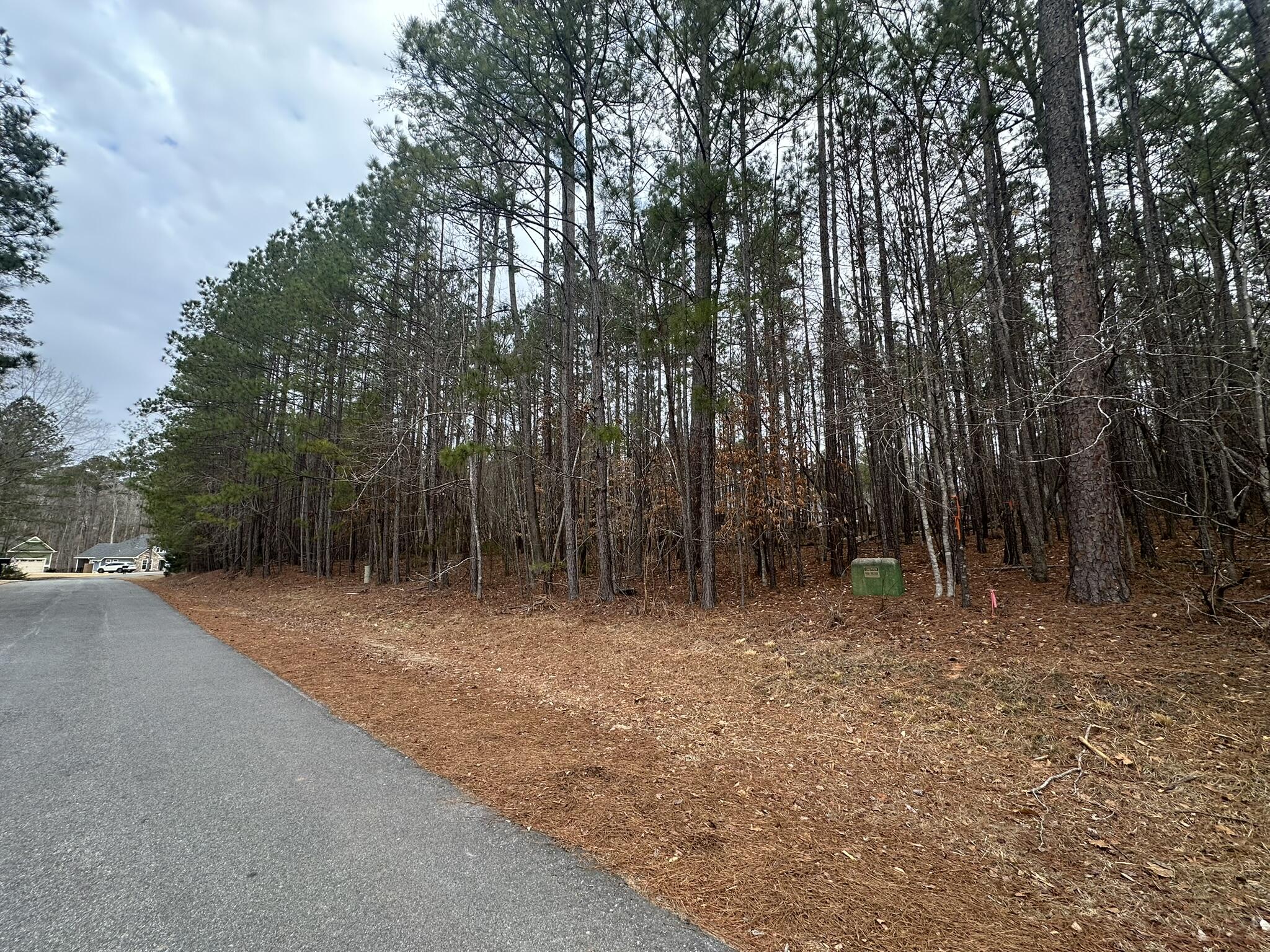 B14-l18 Candlewick Loop McCormick, SC 29835 - Photo 3 of 15 IMG_1645