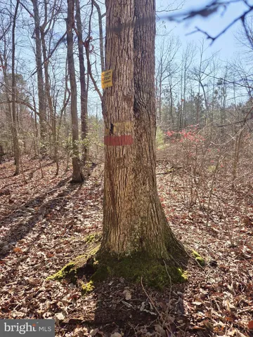 $319,000 | Sika Whitetail & Turkey Sika Whitetail & Turkey Church Creek Road, Cambridge, MD 21613