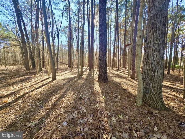 $319,000 | Sika Whitetail & Turkey Sika Whitetail & Turkey Church Creek Road, Cambridge, MD 21613