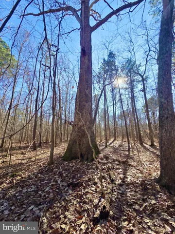 $319,000 | Sika Whitetail & Turkey Sika Whitetail & Turkey Church Creek Road, Cambridge, MD 21613