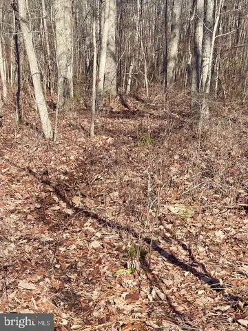 $319,000 | Sika Whitetail & Turkey Sika Whitetail & Turkey Church Creek Road, Cambridge, MD 21613