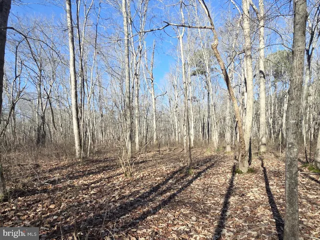 $319,000 | Sika Whitetail & Turkey Sika Whitetail & Turkey Church Creek Road, Cambridge, MD 21613