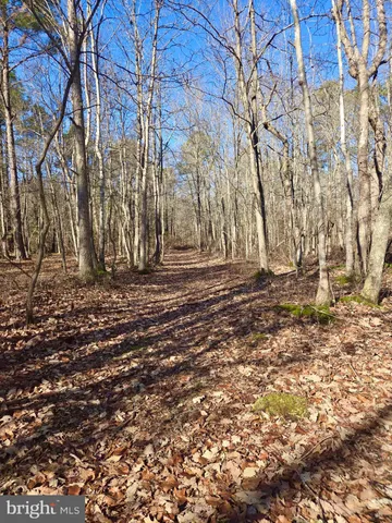 $319,000 | Sika Whitetail & Turkey Sika Whitetail & Turkey Church Creek Road, Cambridge, MD 21613