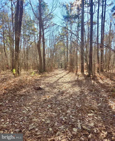 $319,000 | Sika Whitetail & Turkey Sika Whitetail & Turkey Church Creek Road, Cambridge, MD 21613