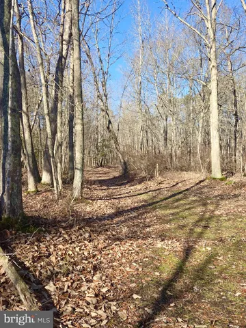 $319,000 | Sika Whitetail & Turkey Sika Whitetail & Turkey Church Creek Road, Cambridge, MD 21613