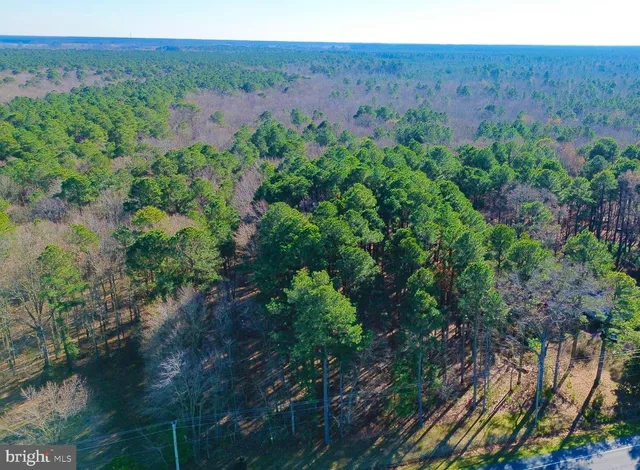 $319,000 | Sika Whitetail & Turkey Sika Whitetail & Turkey Church Creek Road, Cambridge, MD 21613